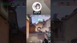 #877banako / #Twitch | 空爆に巻き込まれるバナー子