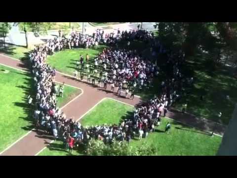 UPenn Gangnam Style Flash Mob