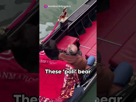 Why buildings in Venice don't sink?  #shortstories