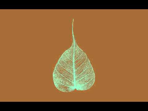 150902 Train hopping \ \ Thanissaro Bhikkhu \ \ Short Dhamma Talk