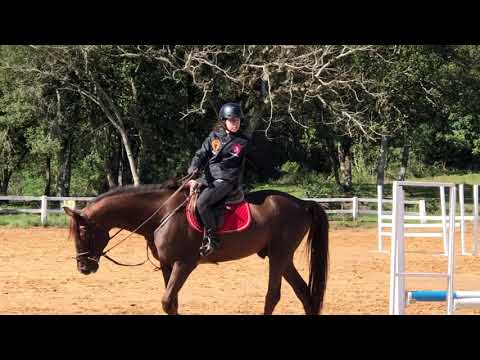 Treino 29/07/2020 // hipismo