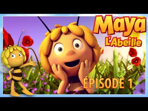 Maya L'abeille - nouvelle série - Épisode 1 - Le juge Ciredabeille | épisode entier