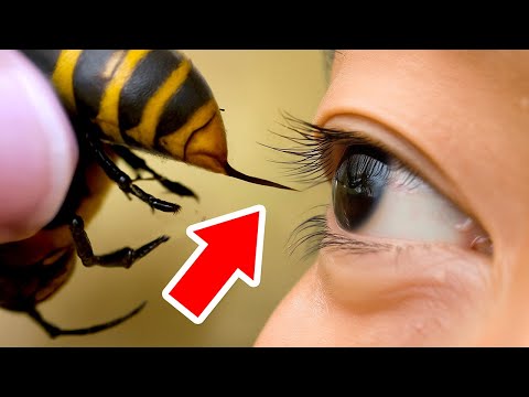 Strange Things That Only Happen In China