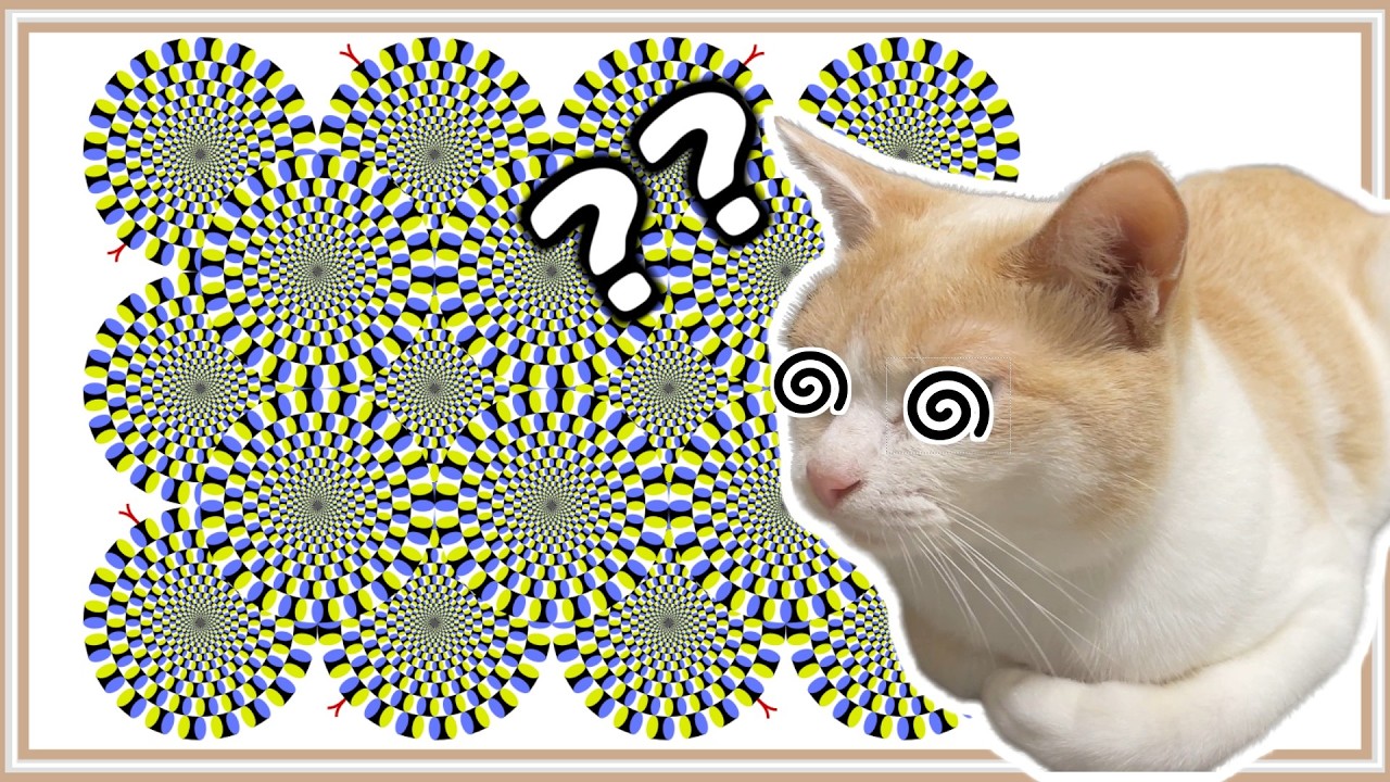 【驚愕】猫にトリックアートのドッキリをしかけた結果…!?