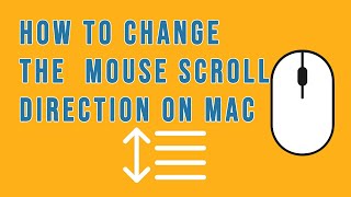 Download the video "How to Fix External Mouse Scroll Direction on Mac  Mac Tutorial"