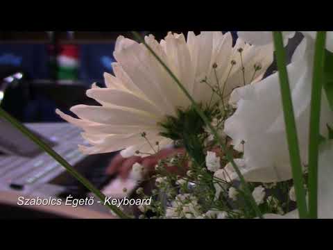 Evergreen Band -  Instrumental1 HD (live)