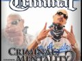 Mr. Criminal - Fully Automatic
