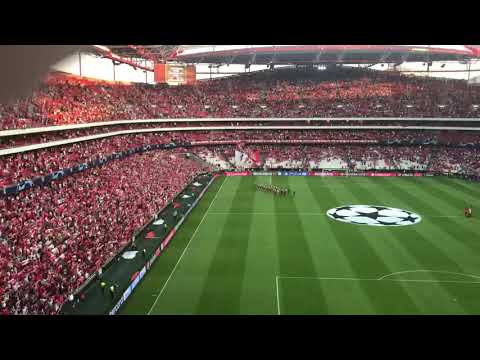 Ashton at Benfica opening ceremony