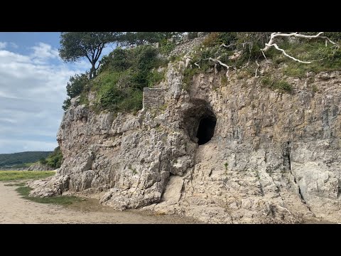 Jenny Brown’s Point and Silverdale Cove, July 2025
