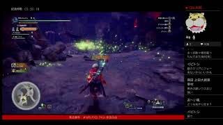 MHW:IB 珠集め、導きの地まわし。アイスボーン モンハン