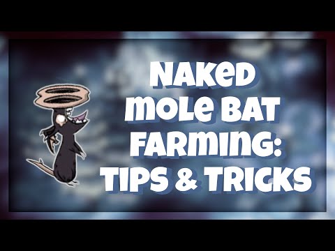 NAKED MOLE BAT FARMING: TIPS & TRICKS - Don't Starve Together Guide
