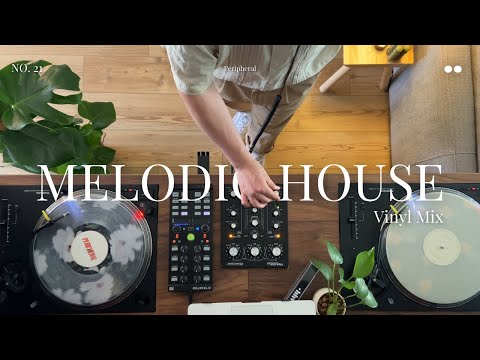 Melodic House - Vinyl Mix no. 21