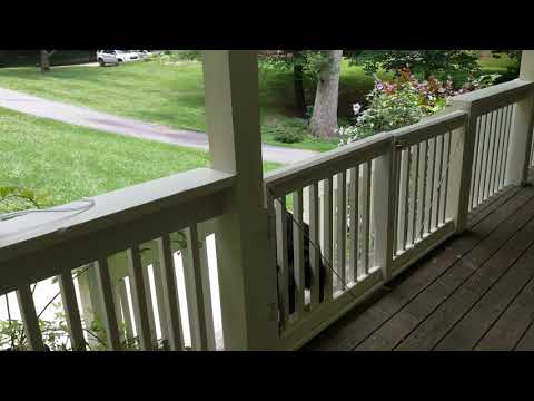 Solange, Pleading To Be Let In