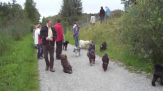 2011 1TT. Treffen Video Nr.: 2