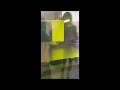 Přehrát video