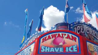 🎡🎠A Trip to Wisconsin State Fair! + Vegan Carnival Food 🍁 (first video)