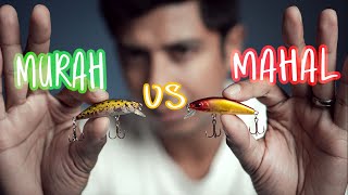 Download lagu MINNOW KILLER - Beginner Ultralight anglers must know! mp3