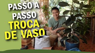 Miniatura do vídeo