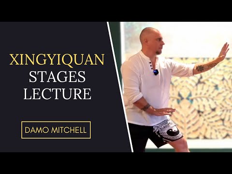 Xingyiquan Stages - Damo Mitchell