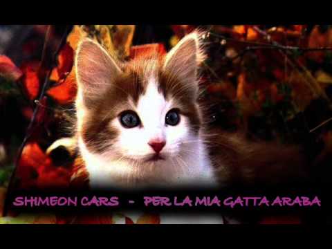 Shimeon Cars - Per La Mia Gatta Araba (prod. by Shimeon Cars) [Ciloni Nei Parchetti, 2004]