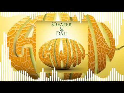 Intro - S Beater & Syke Däli