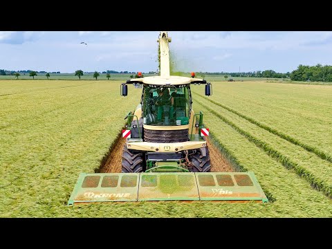 KRONE BIG X 1180 bei der  Wintergerste GPS Ernte 2025