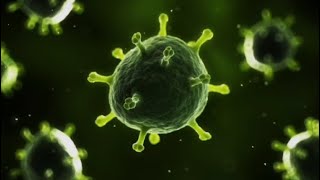 Download lagu Trypophobia Test mp3 Download lagu Trypophobia Test mp3