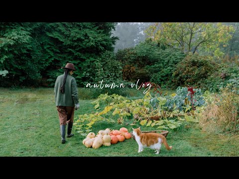 , title : '#83 Memories of Autumn | October Daily Vlog | Countryside Slow Life'