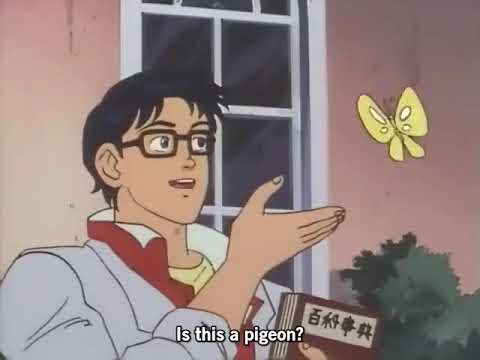 Is This a Pigeon? | Meme Origin | Taiyou no Yuusha Fighbird - S01E03 | 1991