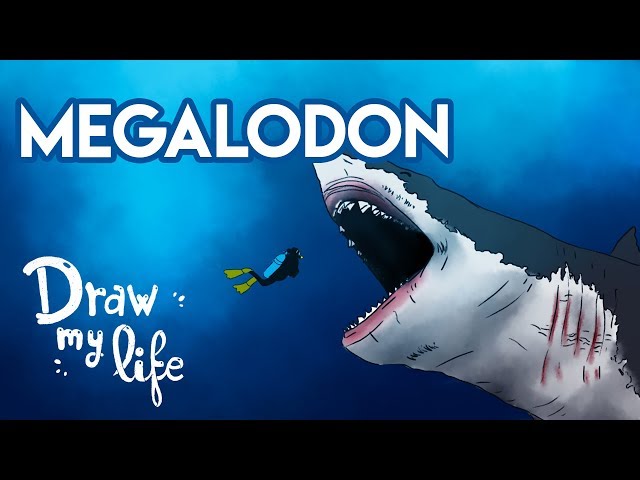 How To Draw Megalodon