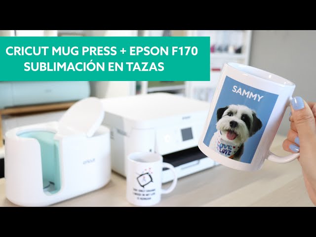 Vídeo relacionado con MUGFFINS Tazas para PERIODISTA hombre - En Español - Koalificado/koalificada - 11 oz / 330 ml - Regalo original y divertido
