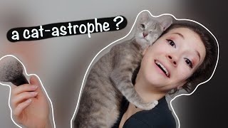 Makeup Routine with a shoulder cat