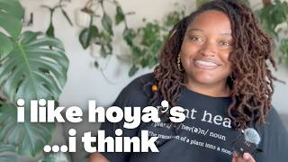i got some new hoyas | chatty hoya video