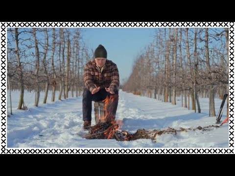 Kamil Pivot - Viral (styczeń) [prod. Urb]