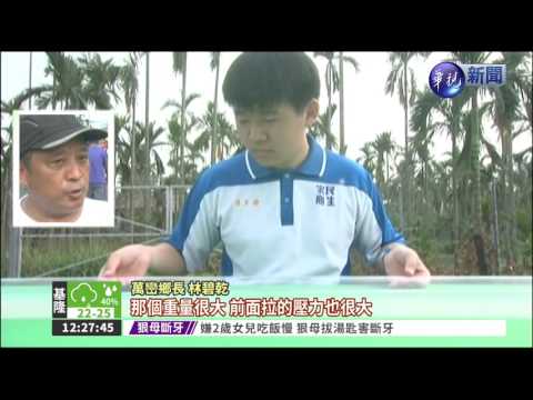 全球最長! 萬巒粄條揚名國際