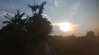 Download lagu Lirik lagu Bubuy Bulan Di Persawahan Marwad Desa Bulak - Lagu Sunda mp3