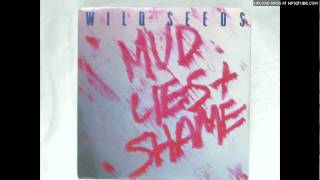 Wild Seeds: &quot;Debi Came Back&quot;