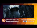 Чебурашка (2014) HD трейлер | премьера 5 июня 