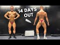 14 DAYS OUT PHYSIQUE UPDATE | LOOK GREAT, FEEL SH*T | THE UGLY TRUTH.