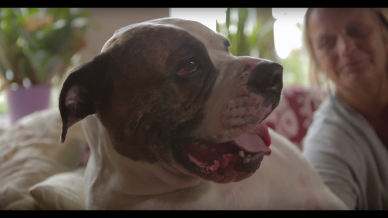 Dice heeft geen rode uitslag meer!