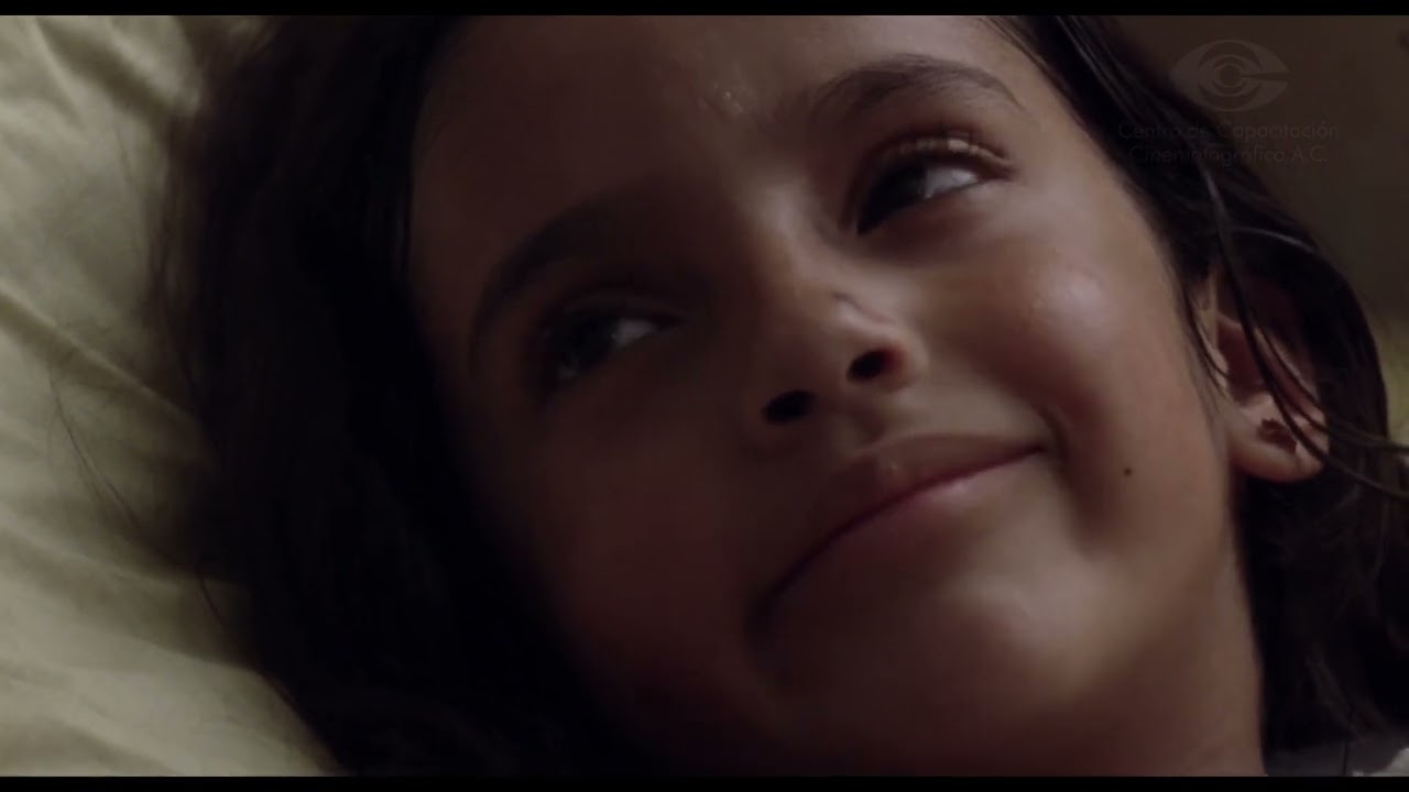 El trencito rojo / The little red Train