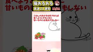 【2ch面白スレ】】猫あるある高速21連発!【Part2】#shorts