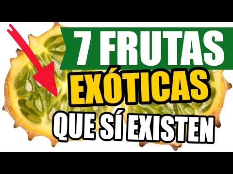 , title : '🔵 7 frutas EXÓTICAS que NO CREERÁS que EXISTEN 👈'