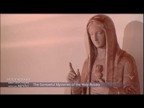Holy Rosary and Devotions with the Franciscan Missionaries of the Eternal Word - 2020-10-30 - Holy R