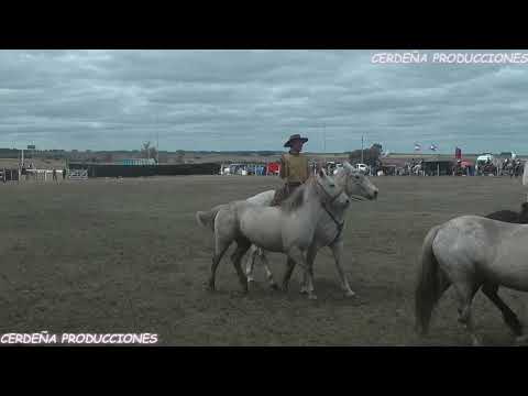 MENDOZA 2025 JINETEADAS DOMINGO