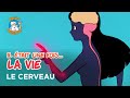 Il était Une Fois La Vie Le Cerveau