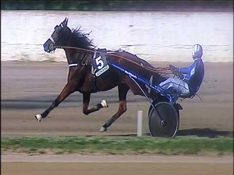 Trotto 25/10/2019 - 1ª corsa