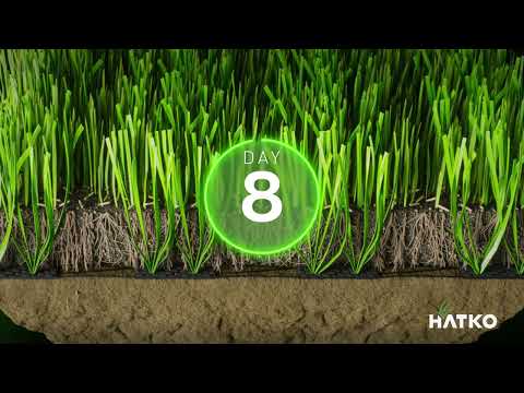 Hatko Hybridgrass System