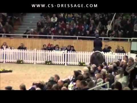 Stoiber SN - Hengstgala Aachen.wmv