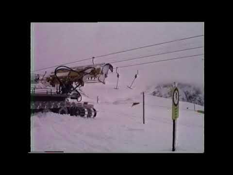 Adelboden / 1990 / Metsch - Metschstand